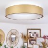 Playas Plafondlamp LED Goud, Wit, 1-licht