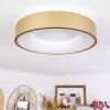 Playas Plafondlamp LED Goud, Wit, 1-licht