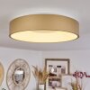 Playas Plafondlamp LED Goud, Wit, 1-licht