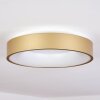 Playas Plafondlamp LED Goud, Wit, 1-licht