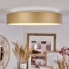 Playas Plafondlamp LED Goud, Wit, 1-licht