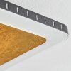 Guacacallo Plafondpaneel LED Goud, Zwart, Wit, 1-licht