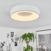 Playas Plafondlamp LED Wit, 1-licht