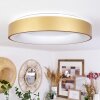 Playas Plafondlamp LED Goud, Wit, 1-licht