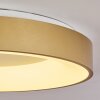 Playas Plafondlamp LED Goud, Wit, 1-licht