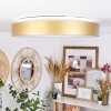 Playas Plafondlamp LED Goud, Wit, 1-licht