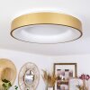 Playas Plafondlamp LED Goud, Wit, 1-licht