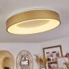 Playas Plafondlamp LED Goud, Wit, 1-licht