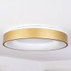 Playas Plafondlamp LED Goud, Wit, 1-licht