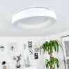 Playas Plafondlamp LED Wit, 1-licht