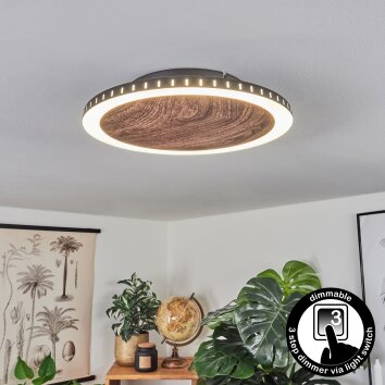 Rocha Plafondlamp LED Bruin, houtlook, Zwart, 1-licht