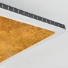 Guacacallo Plafondpaneel LED Goud, Zwart, Wit, 1-licht