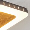 Guacacallo Plafondpaneel LED Goud, Zwart, Wit, 1-licht