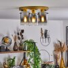 Vuoltu Plafondlamp Goud, 3-lichts