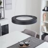 Playas Hanglamp LED Zwart, 1-licht