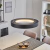 Playas Hanglamp LED Zwart, 1-licht