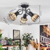 Calamar Plafondlamp Zwart, 3-lichts