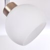 Motala Plafondlamp LED Nikkel mat, 2-lichts, Afstandsbediening, Kleurwisselaar