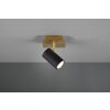 Trio MARLEY Muurlamp Zwart-Goud, 1-licht