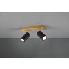 Trio MARLEY Plafondlamp Zwart-Goud, 2-lichts