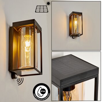 Palanga Buiten muurverlichting LED Zwart, 1-licht, Bewegingsmelder