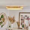 Tikkala Plafondlamp LED Natuurlijke kleuren, 1-licht