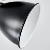 Gralingen Plafondlamp Nikkel mat, Zwart, Wit, 1-licht