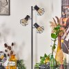 Bardhaman Staande lamp Zwart, 3-lichts