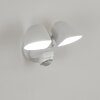 Langra Buiten muurverlichting LED Wit, 2-lichts, Bewegingsmelder