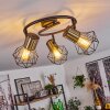 Bardhaman Plafondlamp Zwart, 3-lichts