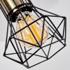 Bardhaman Hanglamp Zwart, 4-lichts