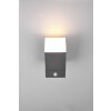 Trio Avon Buiten muurverlichting LED Antraciet, 1-licht, Bewegingsmelder