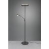 Trio Franklin Staande lamp LED Antraciet, 2-lichts
