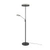 Trio Franklin Staande lamp LED Antraciet, 2-lichts