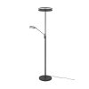 Trio Franklin Staande lamp LED Antraciet, 2-lichts