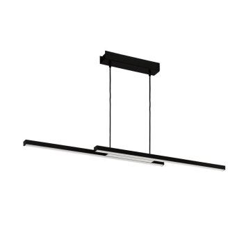 Eglo FRAIOLI-Z Hanger LED Zwart, 2-lichts, Kleurwisselaar