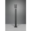 Trio Avon Padverlichting LED Antraciet, 1-licht, Bewegingsmelder