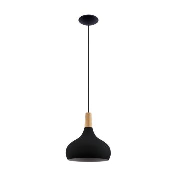 Eglo SABINAR Hanger Bruin, Zwart, 1-licht