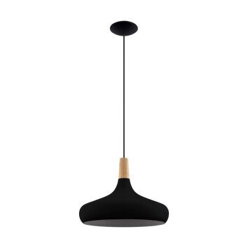 Eglo SABINAR Hanger Bruin, Zwart, 1-licht