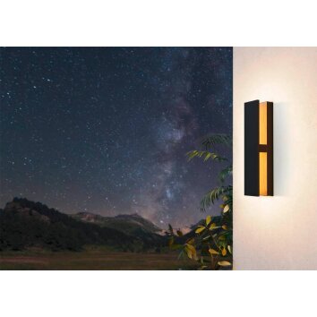 Eglo COSTORIO Buitenshuis plafond verlichting LED houtlook, Zwart, 1-licht