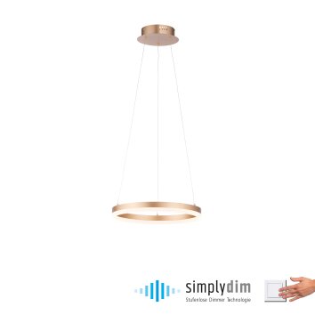 Leuchten-Direkt TITUS Hanglamp LED Messing, 1-licht