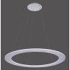 Paul Neuhaus PURE-COSMO Hanglamp LED Aluminium, 25-lichts, Afstandsbediening