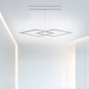 Paul Neuhaus PURE-COSMO Hanglamp LED Aluminium, 44-lichts, Afstandsbediening