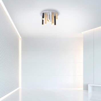 Paul Neuhaus PURE-GEMIN Plafondlamp LED Aluminium, Zwart, 12-lichts