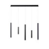 Paul Neuhaus PURE-GEMIN Hanglamp LED Aluminium, Zwart, 5-lichts