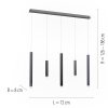 Paul Neuhaus PURE-GEMIN Hanglamp LED Aluminium, Zwart, 5-lichts