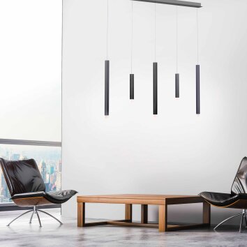 Paul Neuhaus PURE-GEMIN Hanglamp LED Aluminium, Zwart, 5-lichts