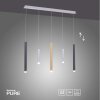 Paul Neuhaus PURE-GEMIN Hanglamp LED Aluminium, Messing, Zwart, 5-lichts