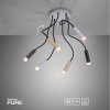 Paul Neuhaus PURE-GEMIN Plafondlamp LED Aluminium, Messing, Zwart, 6-lichts