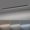 Paul Neuhaus PURE-LINES Plafondlamp LED Antraciet, 1-licht, Afstandsbediening